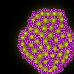 Cellular Texture Generation