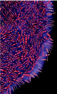 Random Samples: Painterly Data