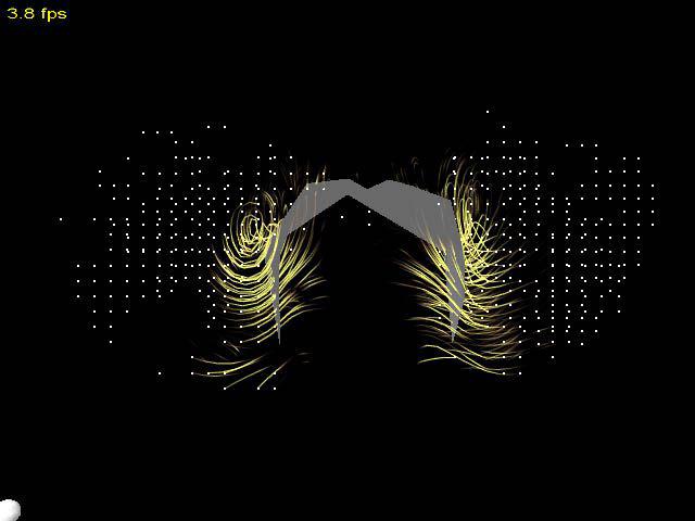 Visualizing Vortices in Simulated Air Flow around Bat Wings during Flight