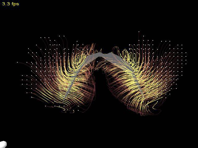 Visualizing Vortices in Simulated Air Flow around Bat Wings during Flight