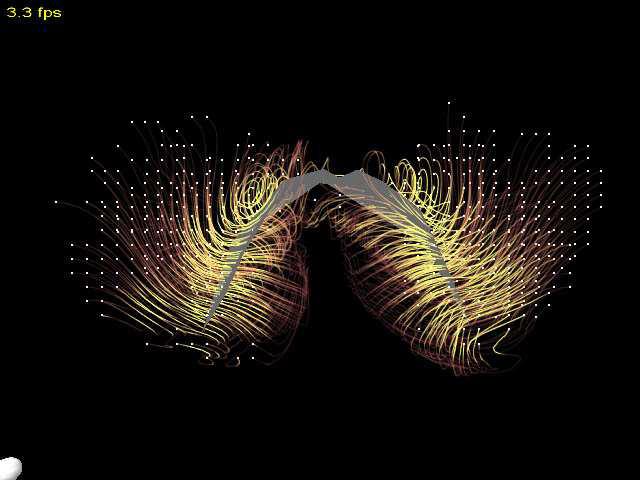 Visualization of Vortices in Simulated Airflow around Bat Wings During Flight