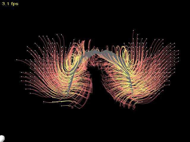 Visualization of Vortices in Simulated Airflow around Bat Wings During Flight