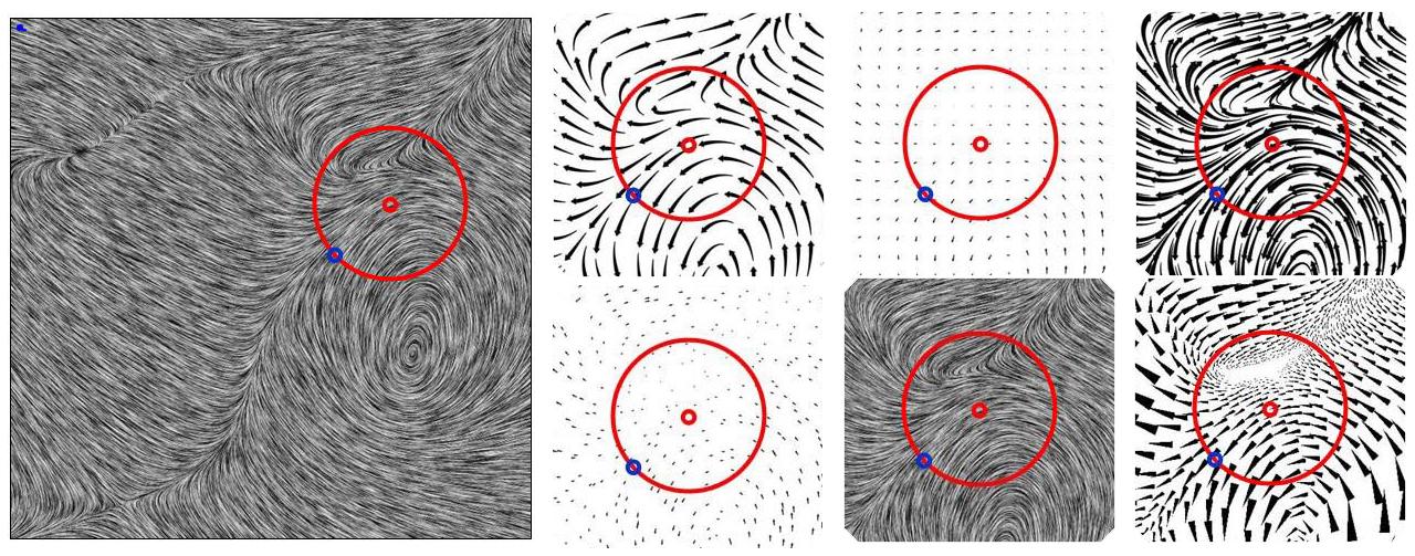 Designer-critiqued Comparison of {2D} Vector Visualization Methods: A Pilot Study