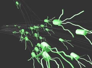 Artistic Collaboration in Designing {VR} Visualizations