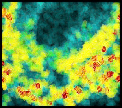 Painting and Visualization