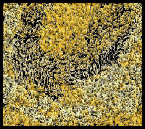 Painting and Visualization