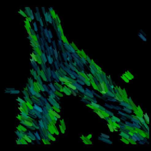Painting and Visualization