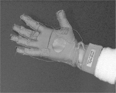 Case Studies in Building Custom Input Devices for Virtual Environment Interaction