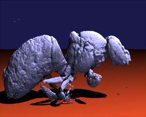 Geometric Model Extraction from Magnetic Resonance Volume Data