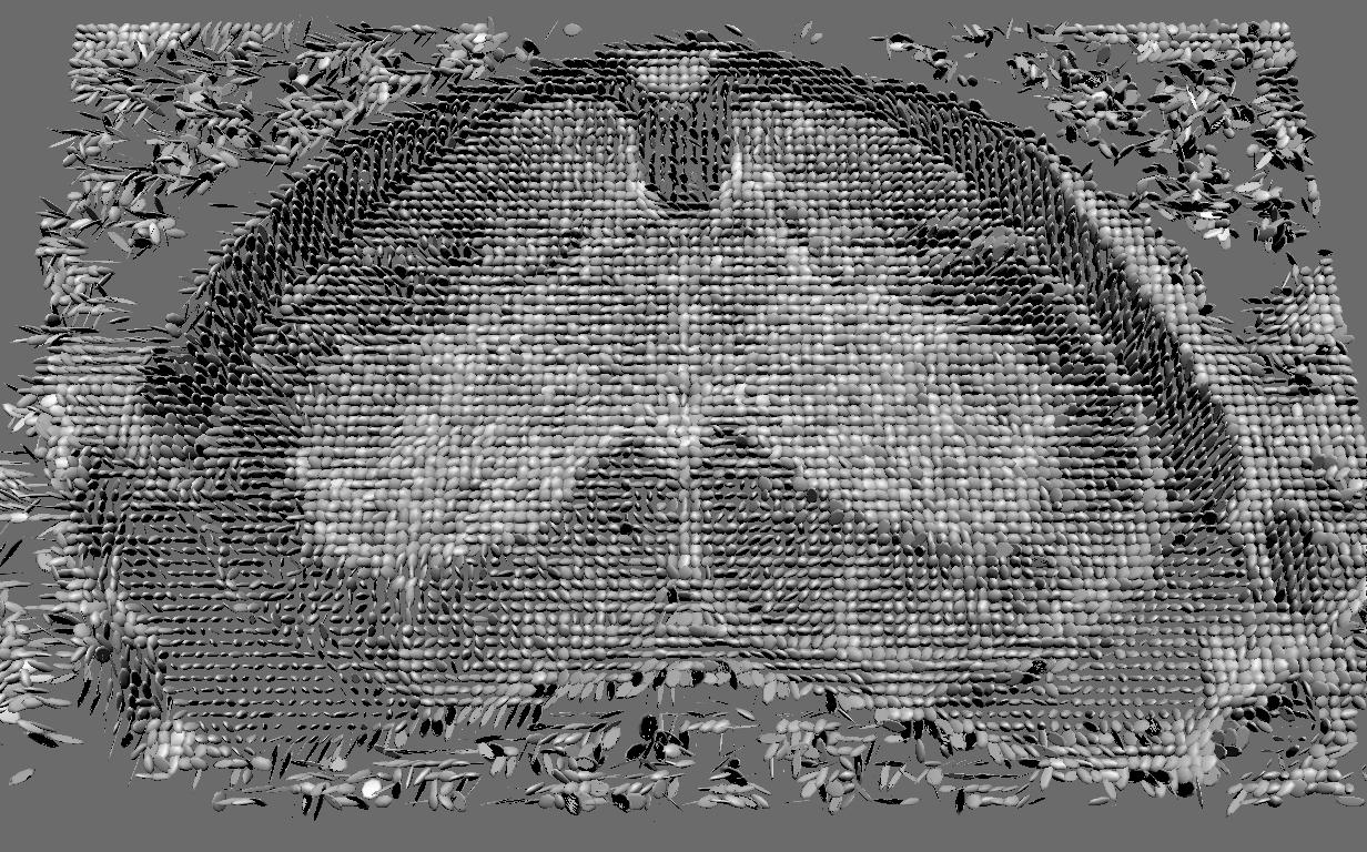 Visualizing Diffusion Tensor Images of the Mouse Spinal Cord