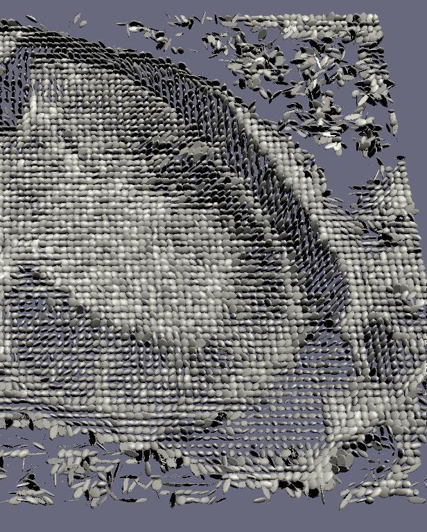 Visualizing Diffusion Tensor Images of the Mouse Spinal Cord