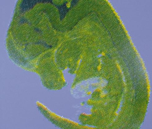 Visually Representing Multi-valued Scientific Data Using Concepts from Oil Painting