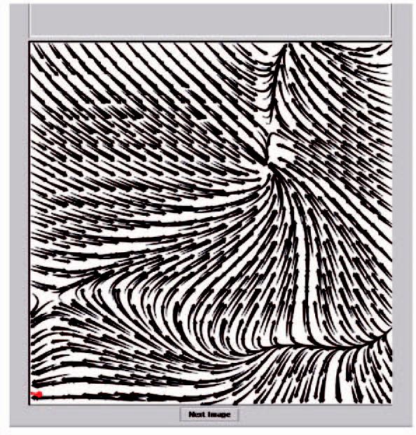 Comparing {2D} vector field visualization methods: A user study