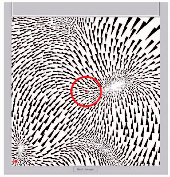Comparing {2D} vector field visualization methods: A user study