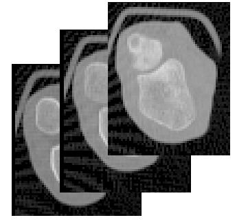 Visualization of Contact Areas and Ligament Paths in Joints