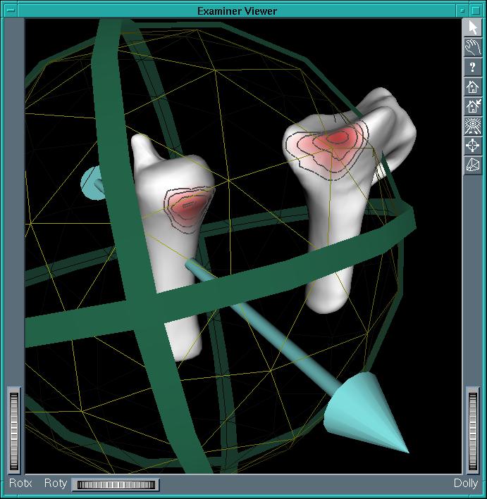Visualization of Contact Areas and Ligament Paths in Joints