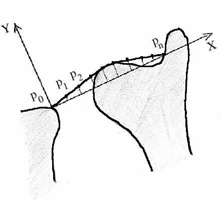 Estimating joint contact areas and ligament lengths from bone kinematics and surfaces