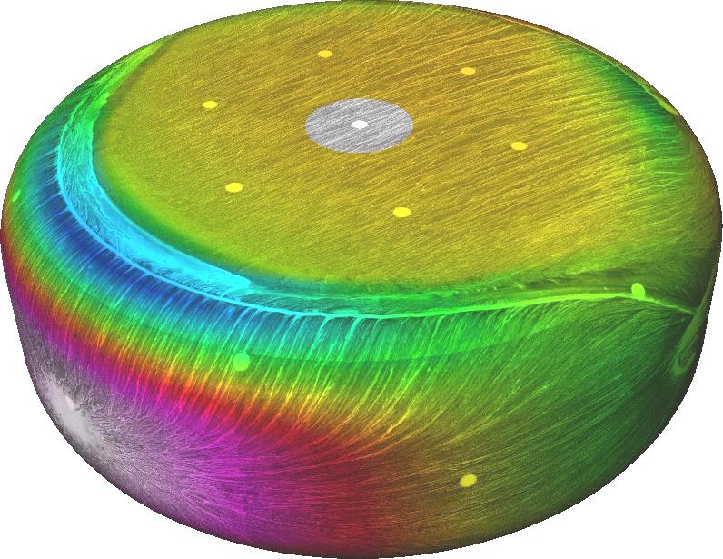 Wind Tunnel Data Fusion and Visualization in an Immersive Environment: A Case Study
