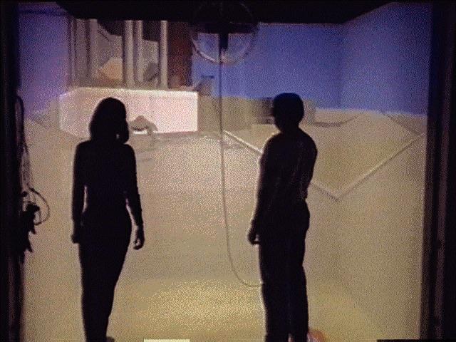 ARCHAVE: A Virtual Environment for Archaeological Research