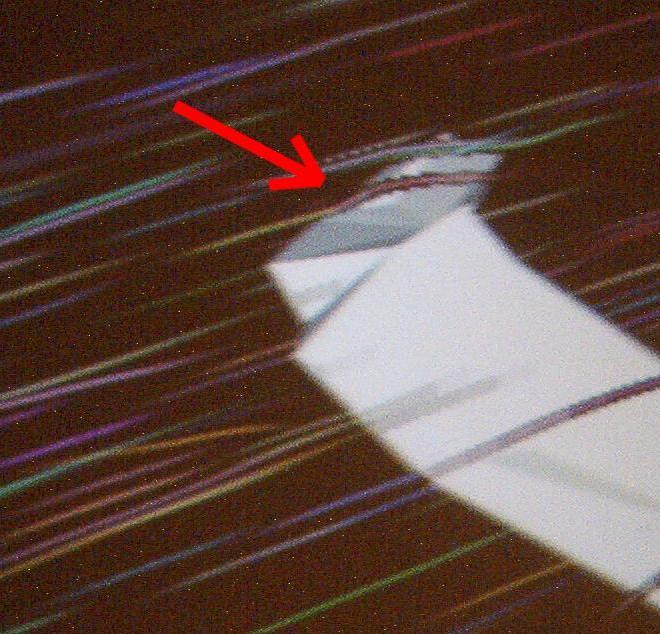 Simulation and Visualization of Air Flow Around Bat Wings During Flight