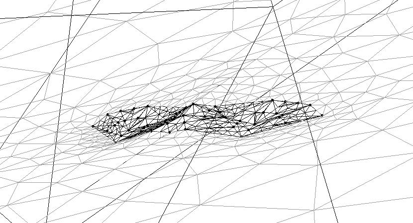 Simulation and Visualization of Air Flow Around Bat Wings During Flight