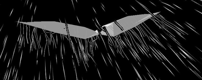 Simulation and Visualization of Air Flow Around Bat Wings During Flight