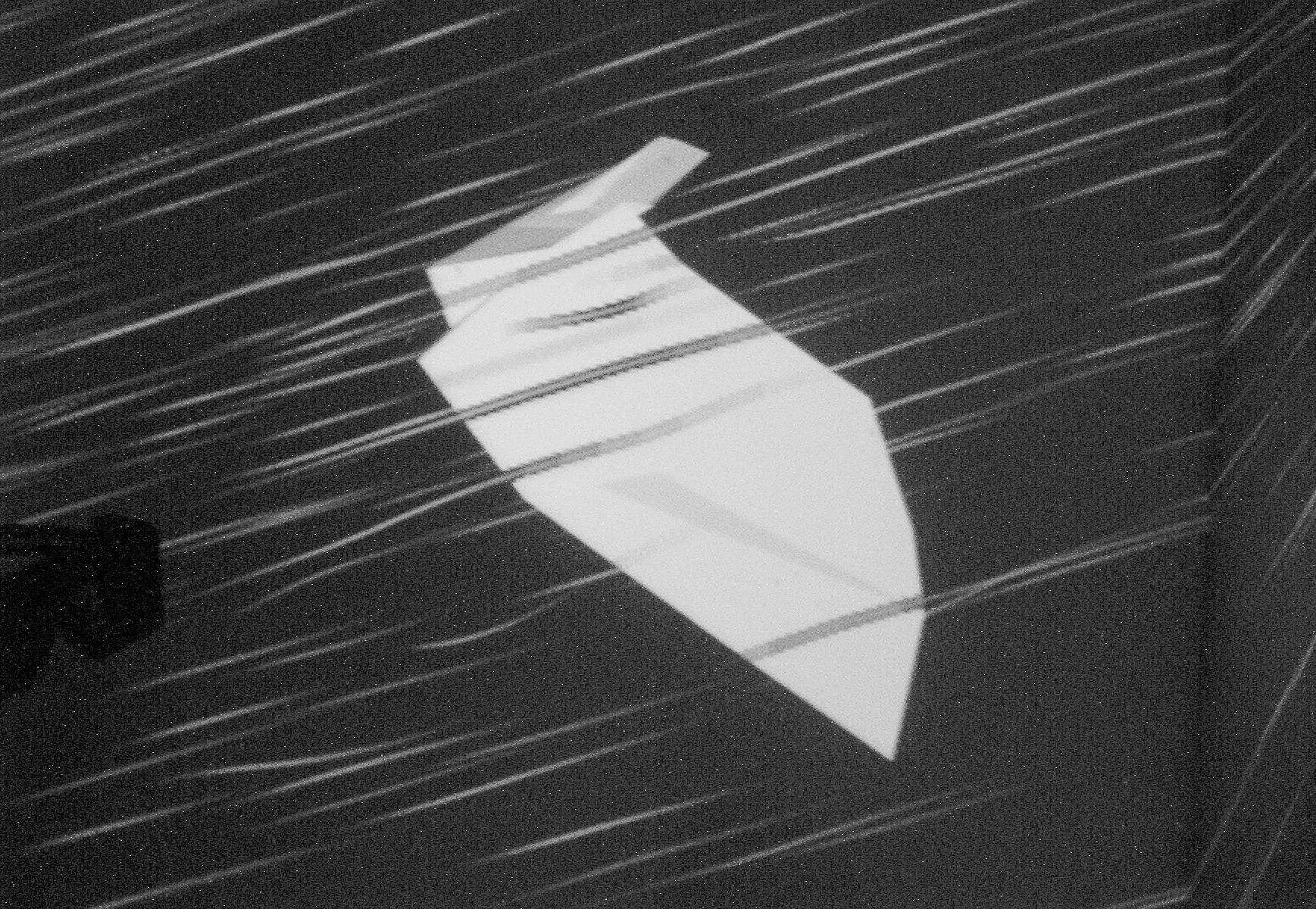 Simulation and Visualization of Air Flow Around Bat Wings During Flight