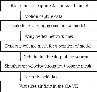 Simulation and Visualization of Air Flow Around Bat Wings During Flight