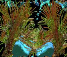 Interactive Volume Rendering of Thin Thread Structures within Multivalued Scientific Datasets