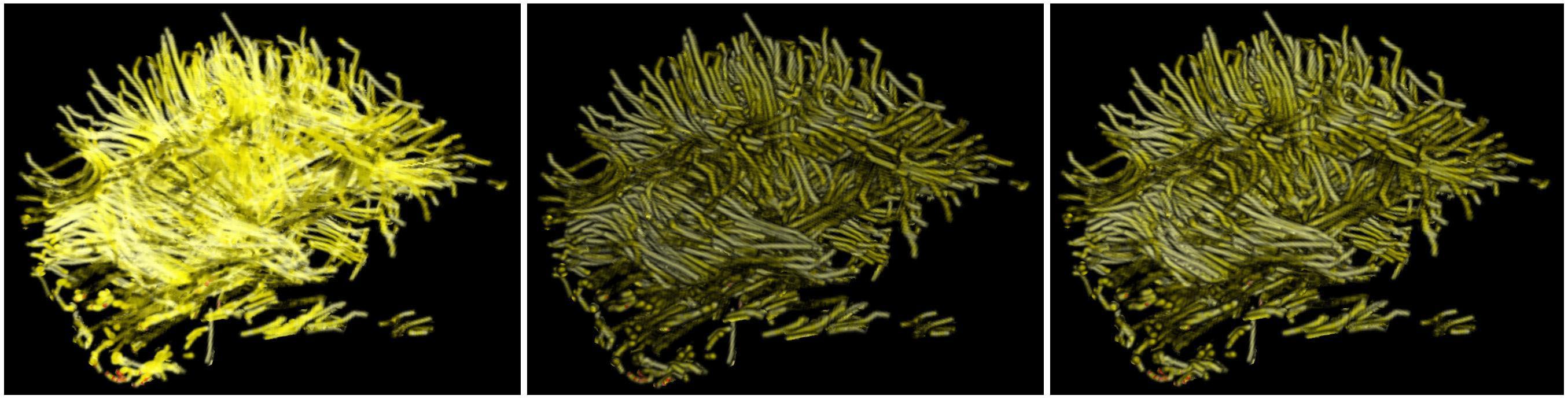 Interactive Volume Rendering of Thin Thread Structures within Multivalued Scientific Datasets