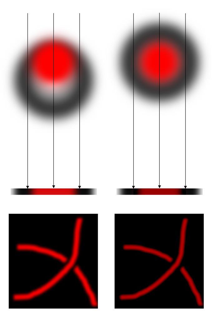 Interactive Volume Rendering of Thin Thread Structures within Multivalued Scientific Datasets