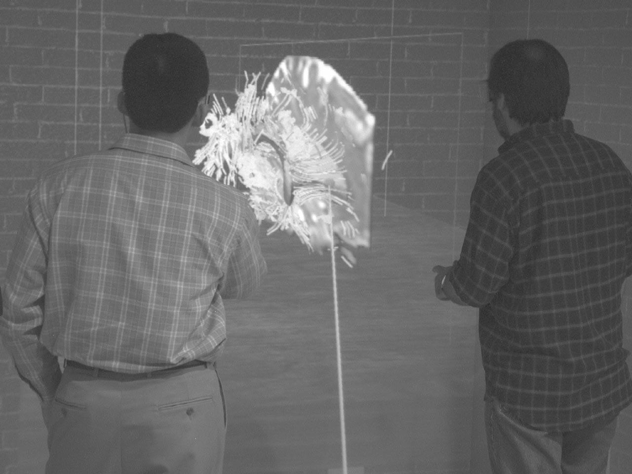 An Immersive Virtual Environment for {DT-MRI} Volume Visualization Applications: a Case Study