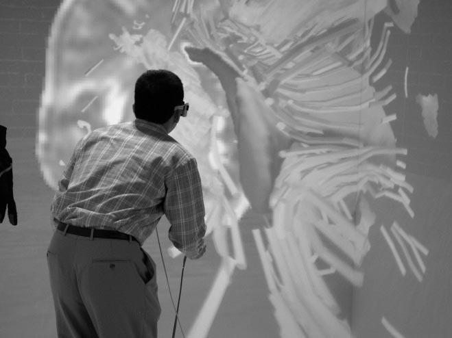 An Immersive Virtual Environment for {DT-MRI} Volume Visualization Applications: a Case Study