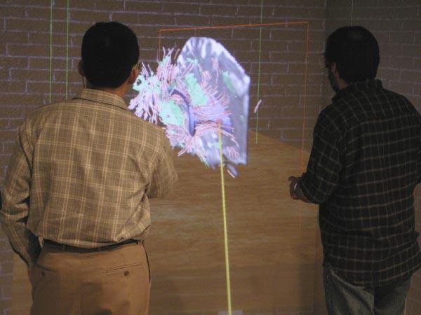 An Immersive Virtual Environment for {DT-MRI} Volume Visualization Applications: a Case Study