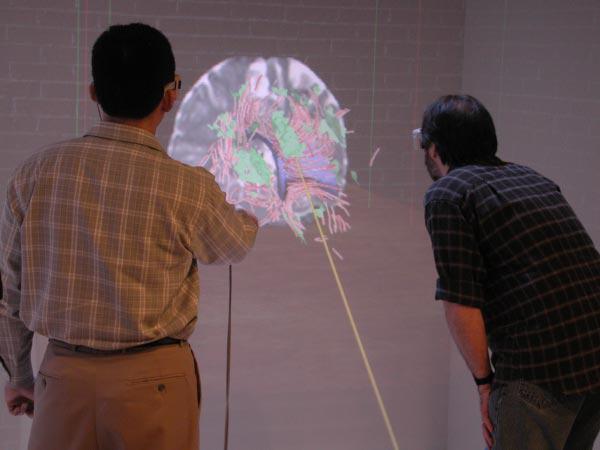 An Immersive Virtual Environment for {DT-MRI} Volume Visualization Applications: a Case Study