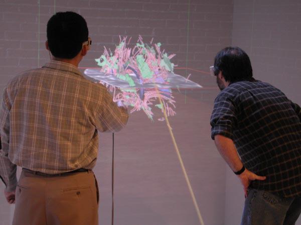 An Immersive Virtual Environment for {DT-MRI} Volume Visualization Applications: a Case Study