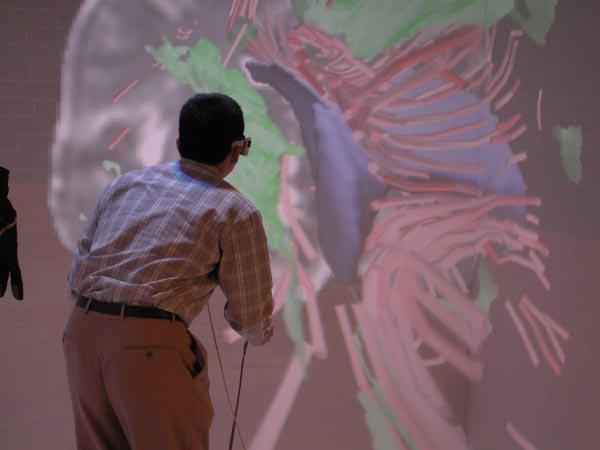An Immersive Virtual Environment for {DT-MRI} Volume Visualization Applications: a Case Study
