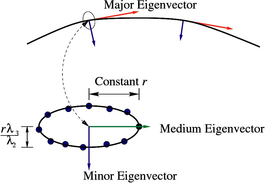 Visualizing Diffusion Tensor {MR} Images Using Streamtubes and Streamsurfaces