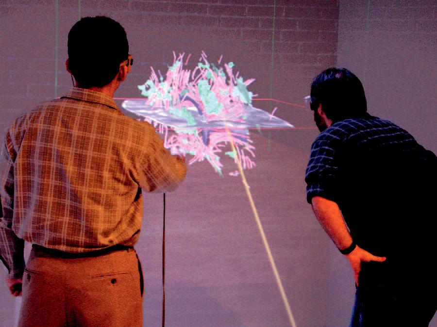 Visualizing Diffusion Tensor {MR} Images Using Streamtubes and Streamsurfaces