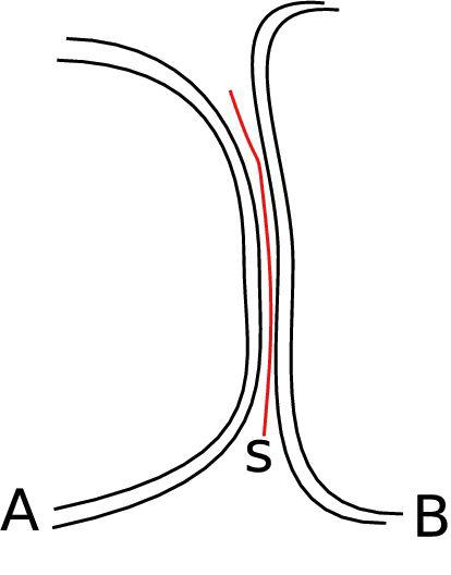 {DTI} Fiber Clustering in the Whole Brain
