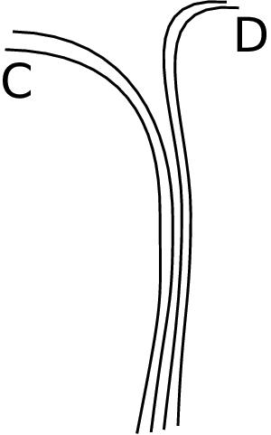 {DTI} Fiber Clustering in the Whole Brain
