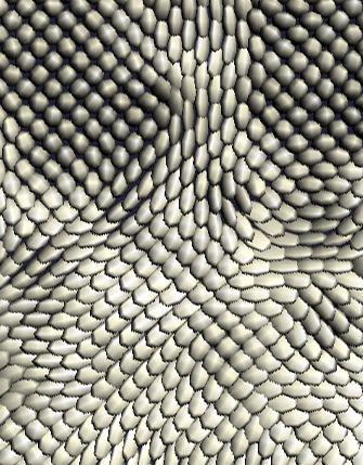 A Model for some Subcortical {DTI} Planar and Linear Anisotropy