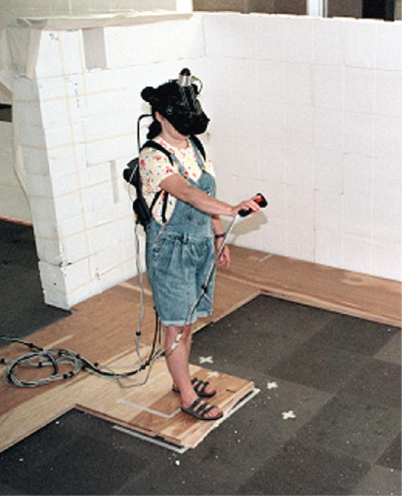 Experiments in Immersive Virtual Reality for Scientific Visualization