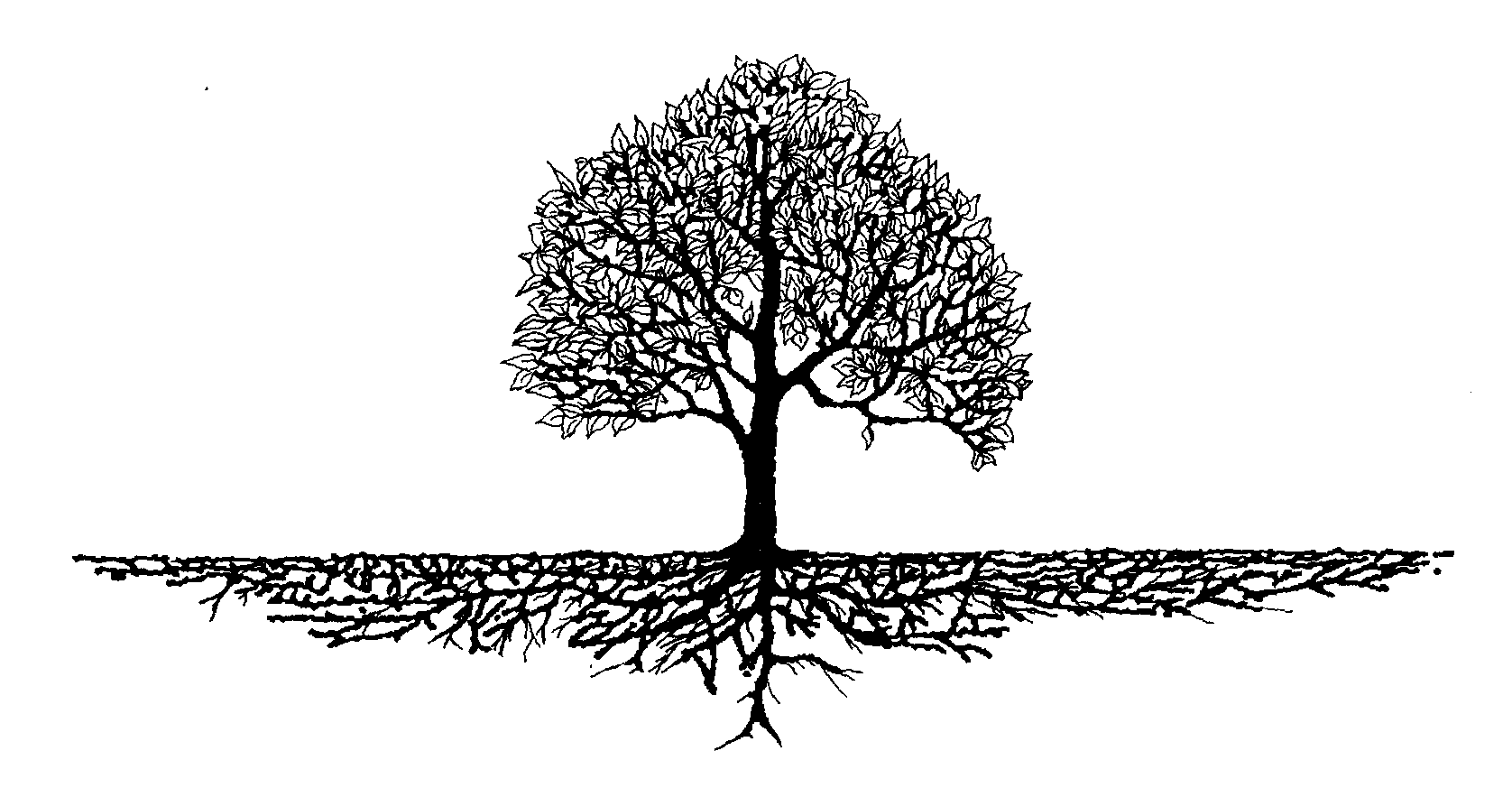 XPORT logo