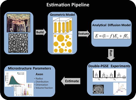 extraction_pipeline